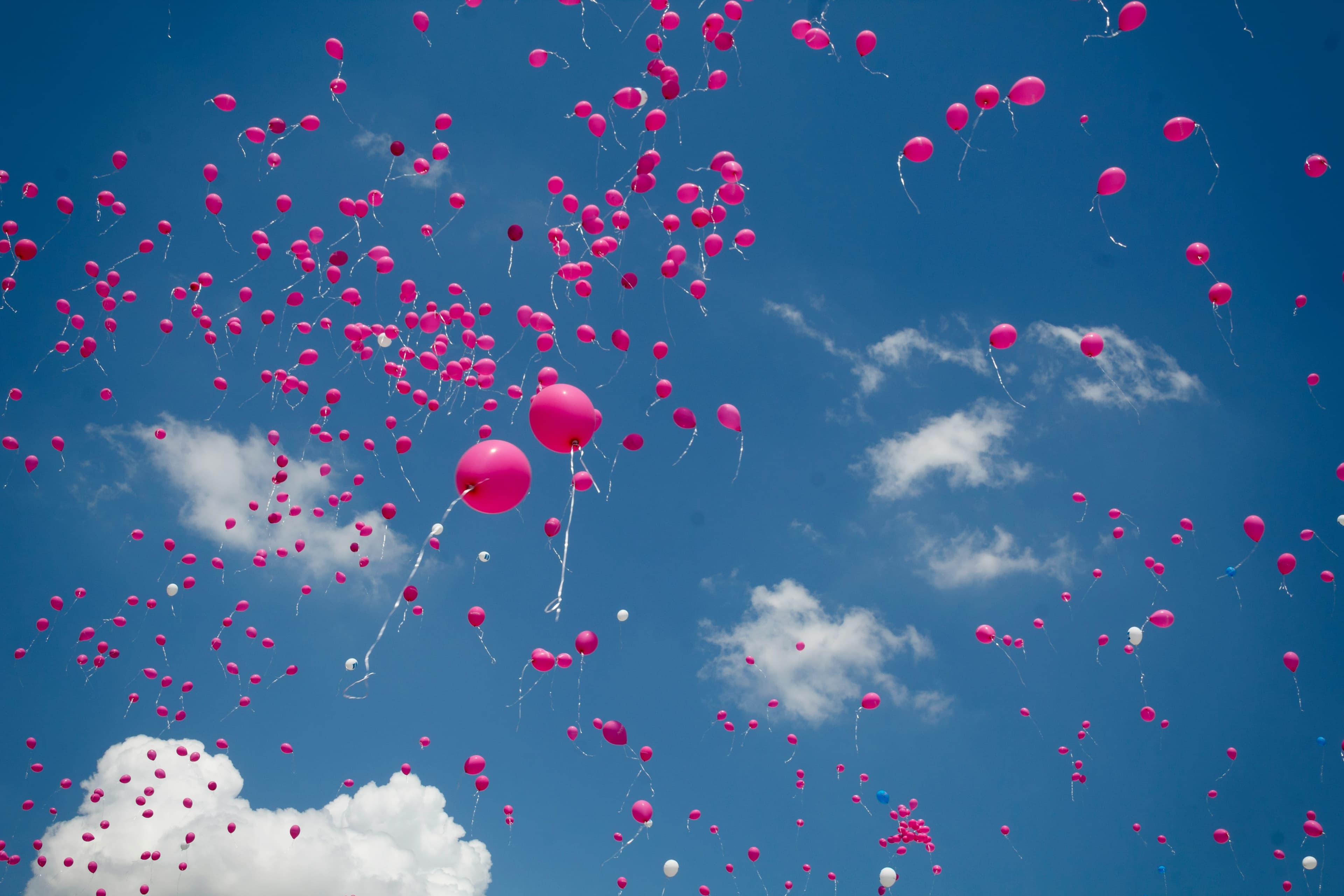 Pink balloons floating into the blue sky