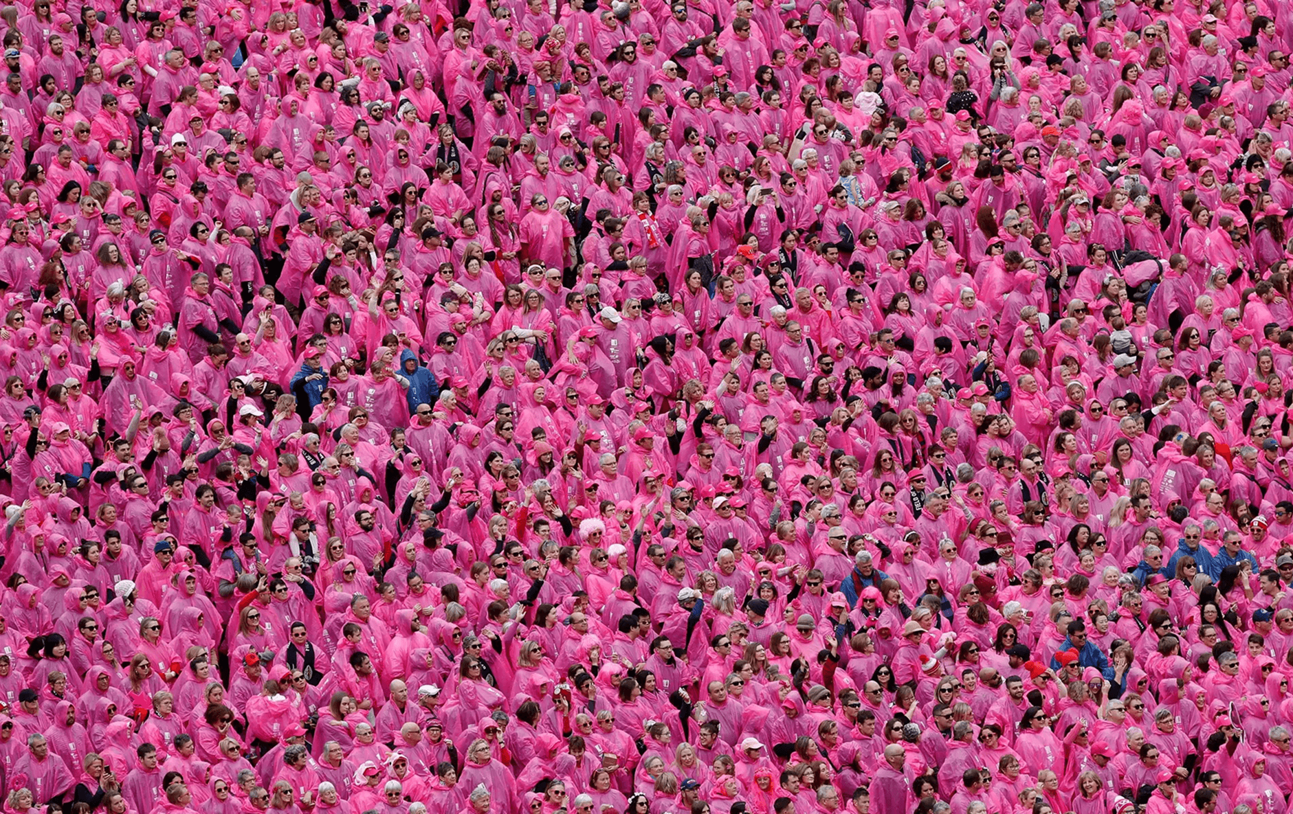 A field full of people in pink