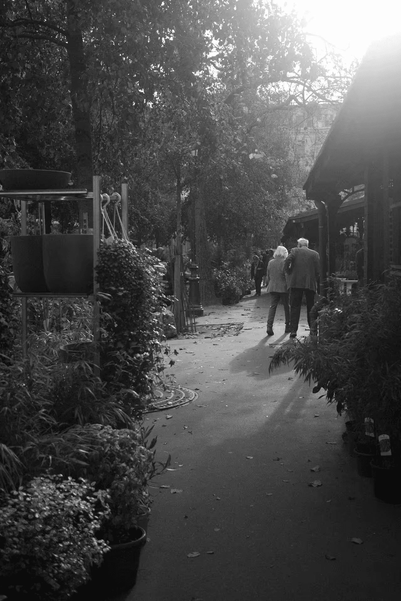 couple strolling outdoors in garden.png