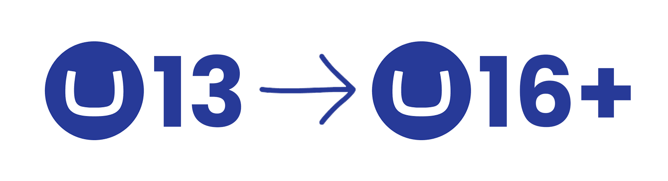 Umbraco CMS upgrade from Umbraco 13 to Umbraco 16 and beyond